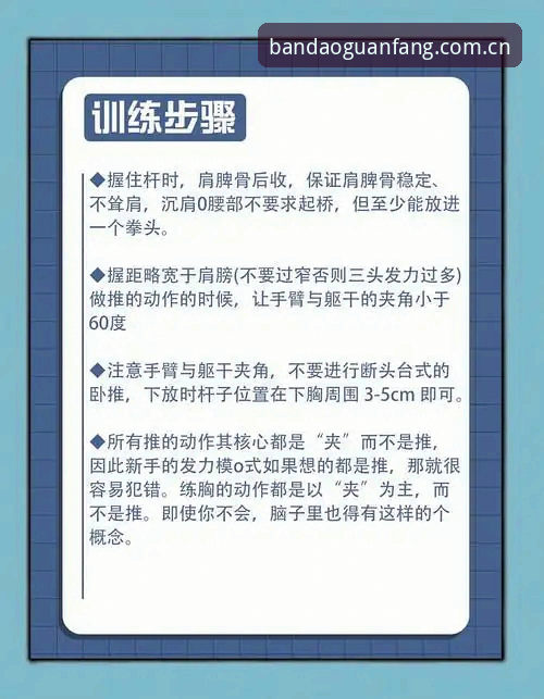 半岛体育平台数据查询实用技巧：从入门到精通的五个关键动作